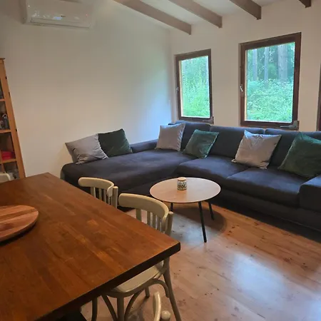 Aloha Summer 度假居 Laziska (Boleslawiec)