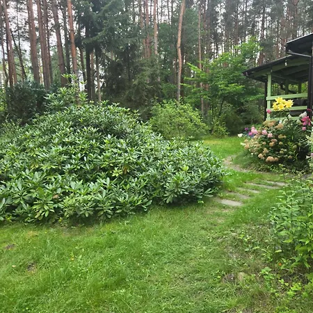 Aloha Summer Laziska (Boleslawiec)