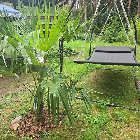 Aloha Summer * Laziska (Boleslawiec)