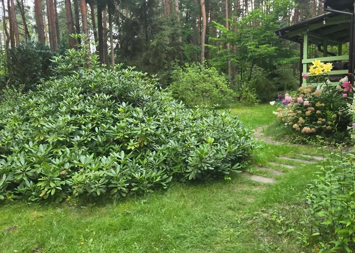 Aloha Summer Laziska (Boleslawiec)